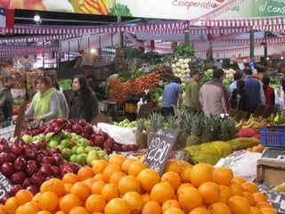 Transfer From Valparaiso or San Antonio port and Tour in Santiago or viceversa