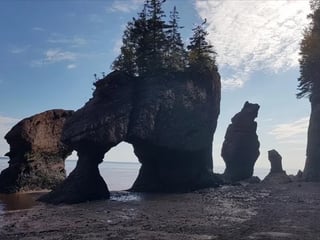 Hopewell Rocks Tour and Fundy Bay - Full Day