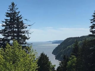 Fundy Trail and Sea Caves Full-Day Shore Excursion