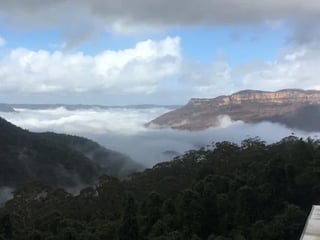 Blue Mountains + Scenic World + Australian Wildlife - Private All Day Tour